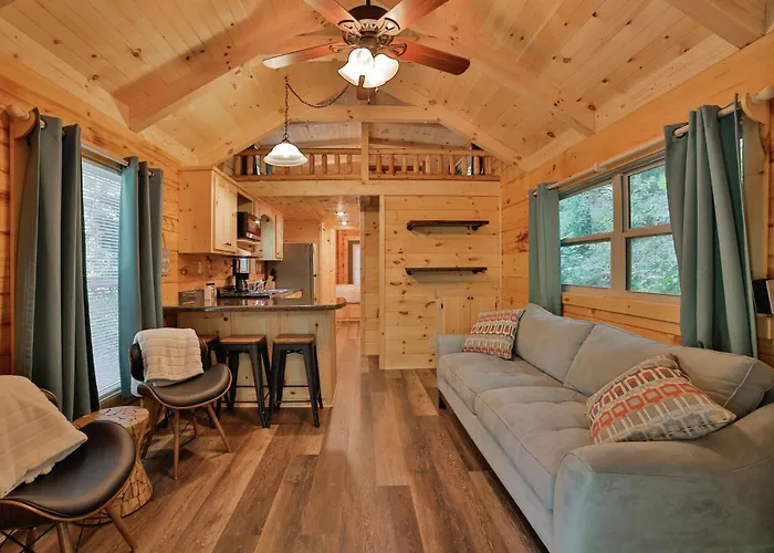 River Cabin Hot Tub & Swim Spa Near Downtown